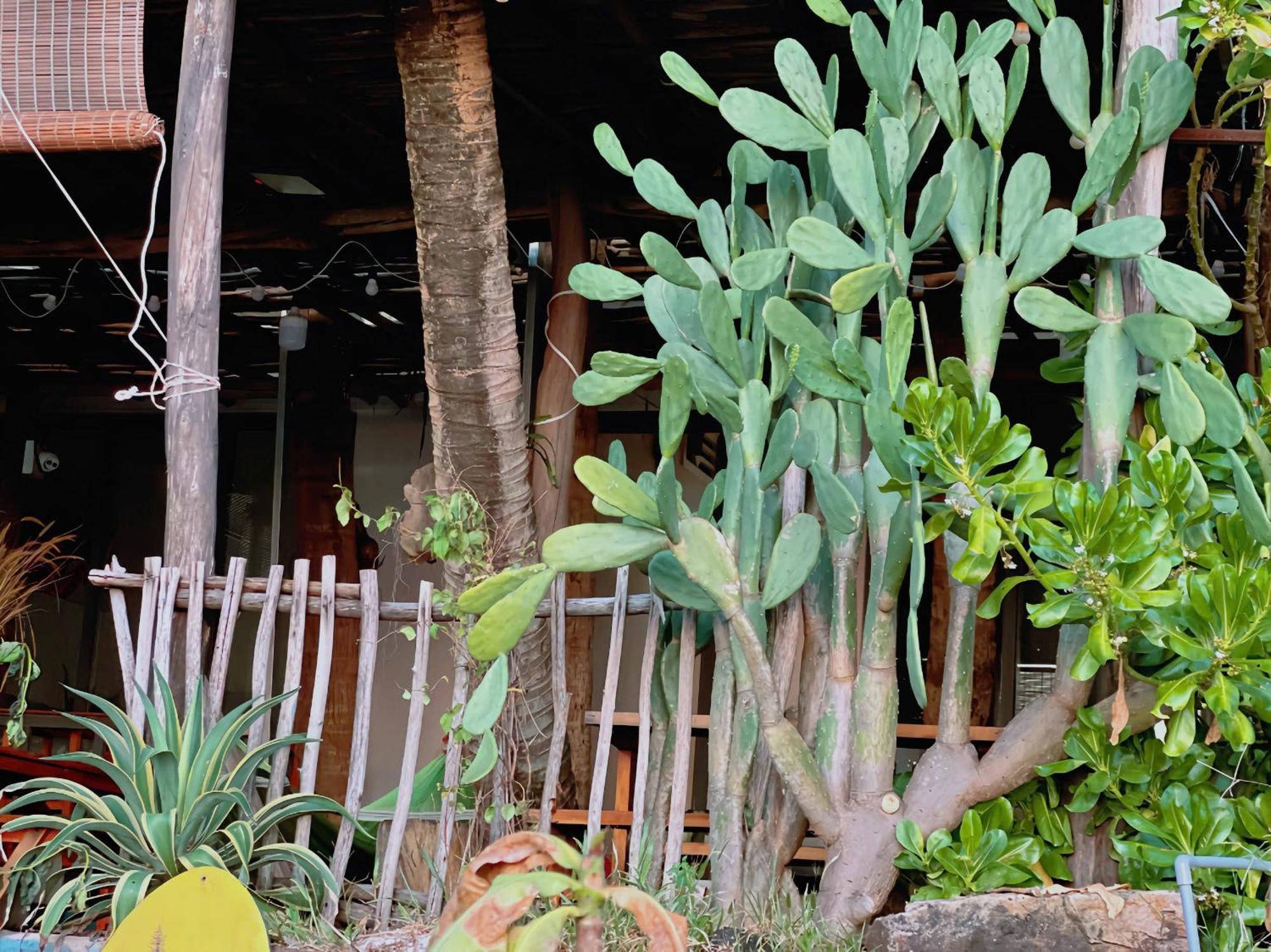 Soho 1 Phu Quoc Apartamento Exterior foto